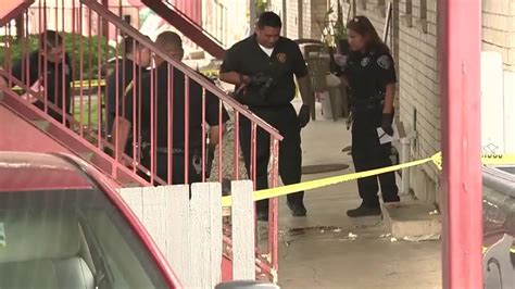 Man Fatally Shot In Head At Northwest Side Apartment Complex Suspect