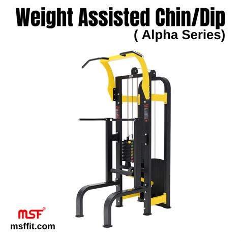 Fitness Equipment Weight Assisted Chin Dip Combo Alpha Size