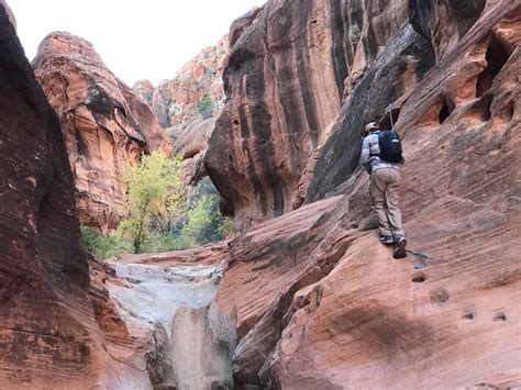 Red Reef Trail Lower Red Cliffs Recreation Area Leeds Ut Hike