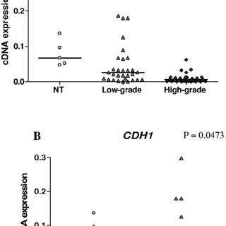 Differences in CDH1 gene expression level among neuroepithelial tumors ...