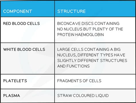 Components Of Blood 9 1 14 CIE IGCSE Biology Revision Notes 2023