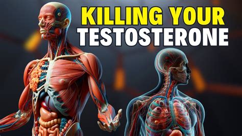 12 Foods That Lower Your Testosterone Level YouTube