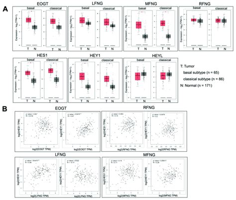 Expression Of Epidermal Growth Factor Egf Domain Specific O Linked