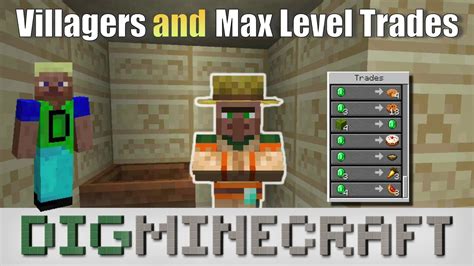 Villagers And Max Level Trades In Minecraft Youtube