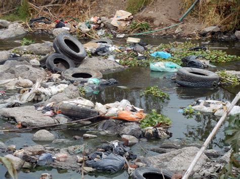 Qué Es La Contaminación Ambiental Causas Principales Y Ejemplos