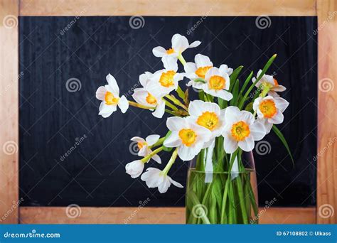 White Narcissus Flowers, Bouquet in Vase on Blackboard Background ...