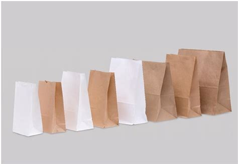 Brown Paper Carry Bags For Grocery At Rs 1 In Meerut ID 2850263437930