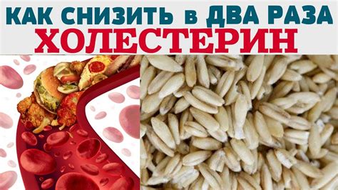 КАК СНИЗИТЬ УРОВЕНЬ ХОЛЕСТЕРИНА / Избавиться от ХОЛЕСТЕРИНА в домашних ...