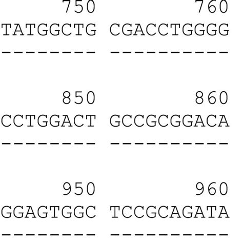 Alignment Of The Hlac Allele Exon Sequence Compared To The