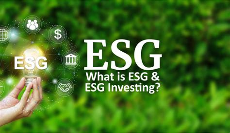 What Is Esg And Esg Investing Sun