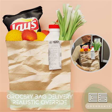 Realistic Delivery Grocery Bag Override Beta Coco Games Sims