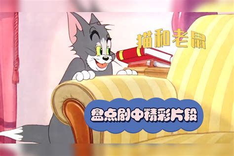 猫和老鼠：盘点剧中精彩片段，杰瑞暗中偷吃，结果被汤姆发现杰瑞片段汤姆