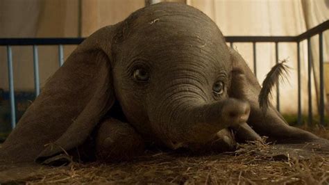 Live Action De Dumbo Ganha Seu Primeiro Trailer Combo Infinito