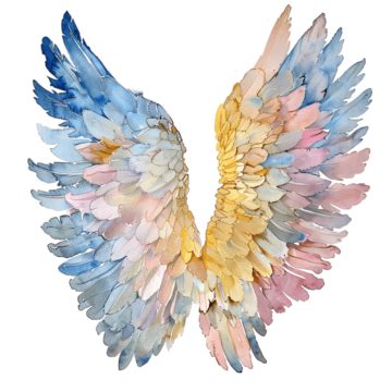 Arte Em Aquarela De Asa De Anjo PNG Aquarela Asa De Anjo Pena Rosa