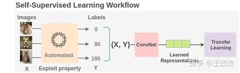 入门必看图解自监督学习 Self Supervised Learning 知乎