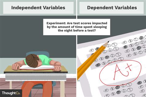 Independent And Dependent Variable Examples