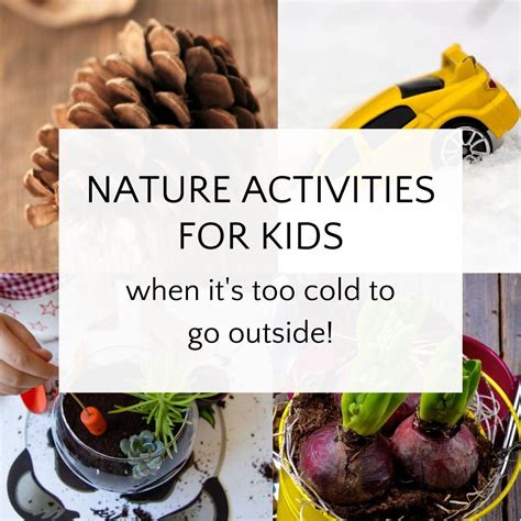 Indoor Nature Activities for Winter that Kids Love