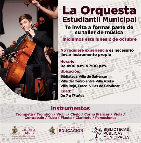 Te gustaría formar parte de la Orquesta Estudiantil Municipal