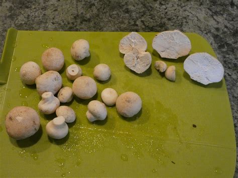 Fried Puffball Mushrooms Olverindulgence