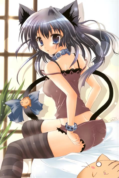 Neko Anime Animal Girls Photo 6784378 Fanpop