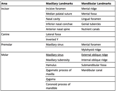 Radiography Exam Flashcards Flashcards Quizlet