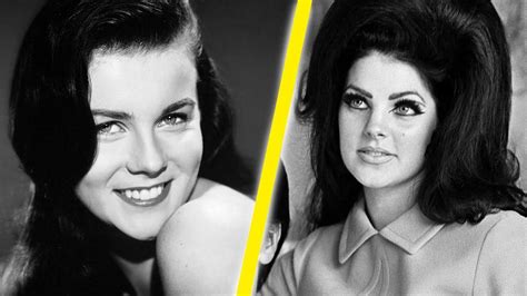 Why Elvis Would Have Always Chosen Priscilla Over Ann Margret In 2023 Elvis Presley Songs