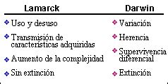 Diferencias Y Similitudes Entre La Teor A De Piaget Y Vygotsky Hot