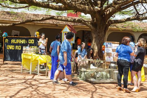 Feira do Conhecimento Colégio Santo André Jaboticabal