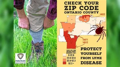 Lyme Disease Cases On The Rise In Ontario County