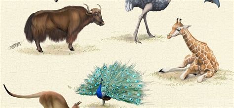 Interactive book for kids "The Book of Animals" on Behance