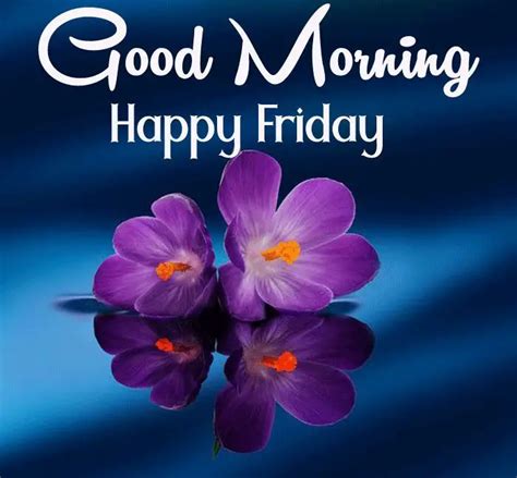 Good Morning Happy Friday Wishes Quotes Images