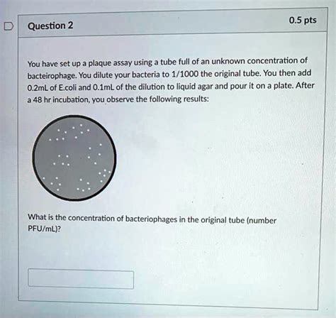 Solved05 Pts Question 2 You Have Set Up A Plaque Assay Using A Tube