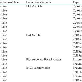 Macrophage polarization markers. Markers increase expression or ...