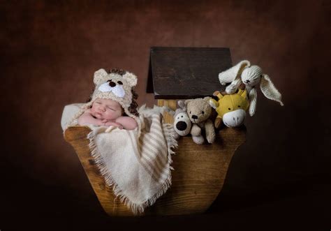 Noah's Ark Digital Backdrop Newborn Photo Prop. Digital - Etsy