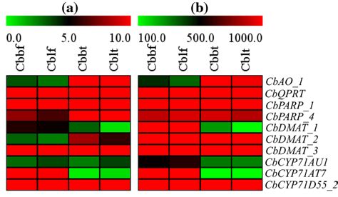 Heatmap Representing Gene Expression Levels Of Candidate Genes From The