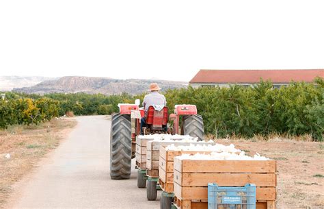 Los agricultores y ganaderos españoles podrán recibir hasta 3 386