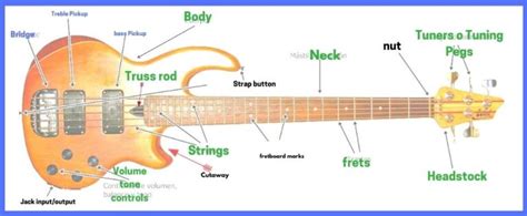 Electric Bass Guitar Parts Bass Guitar Lessons