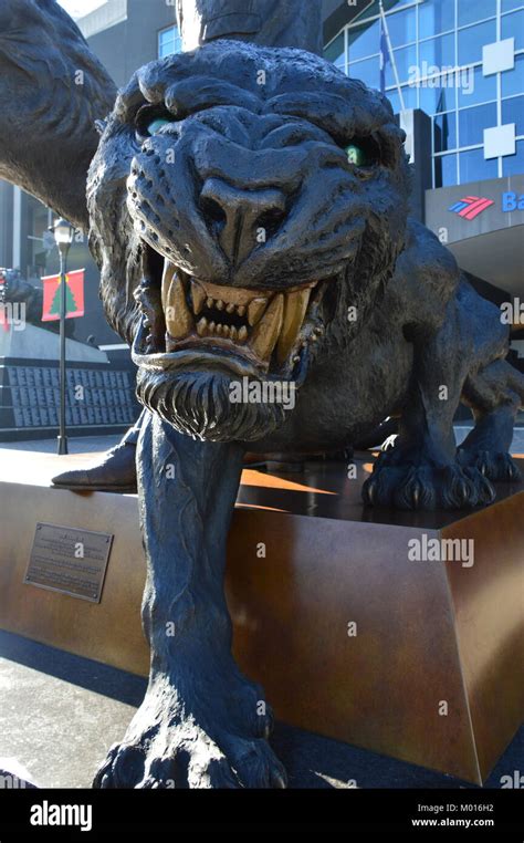 The South Carolina Panthers Stadium Stock Photo - Alamy