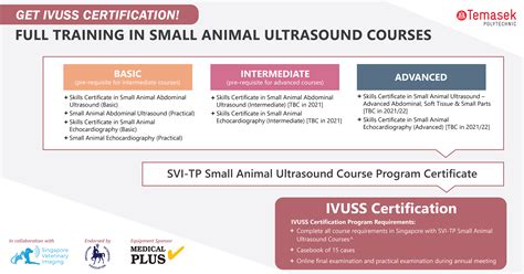 TP-SVI Small Animal Vet Ultrasound Courses – Singapore Veterinary