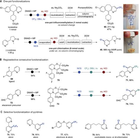 Radical And Ionic Meta Ch Functionalization Of Pyridines Quinolines