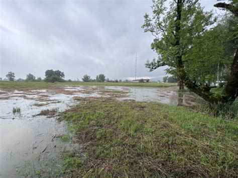 Furt In Dornbirn Gesperrt Wasser Beim Sender Steigt Vorarlberg