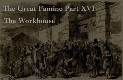 The Workhouse And The Unwanted The Great Famine Xvi