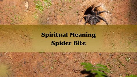 Upside Down Spiritual Meaning Upside Down Spirituality