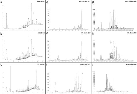 Gas Chromatograms Sterane M Z And Terpane M Z Mass