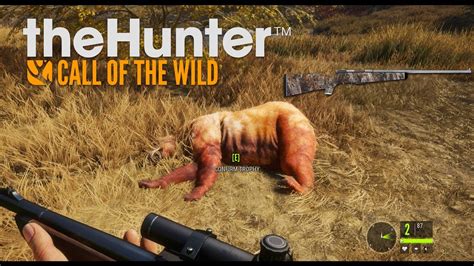 How to play multiplayer on thehunter call of the wild pc - garentertainment