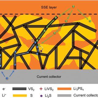 Schematic Diagram Illustrating The Proposed Microstructure And