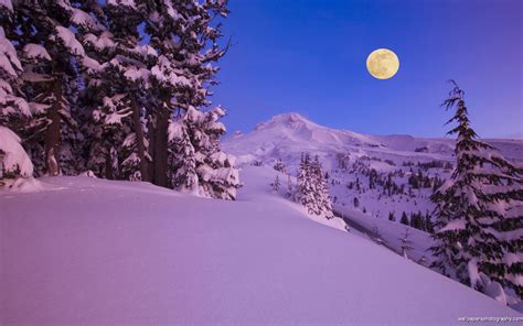 🔥 [50+] Snowy Winter Scenes Wallpapers | WallpaperSafari