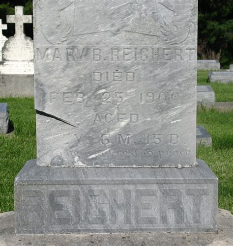 Mary A Metz Reichert 1818 1900 Find a Grave äreminne