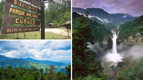 Parque Nacional Cusuco Una Joya Natural Ubicada En San Pedro Sula