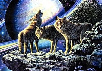 HD Wolfstar Wallpapers Peakpx